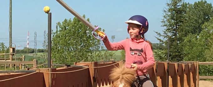 chevalerie champsforts poney stage issoudun