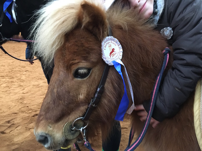 poney-podium-champsforts-issoudun