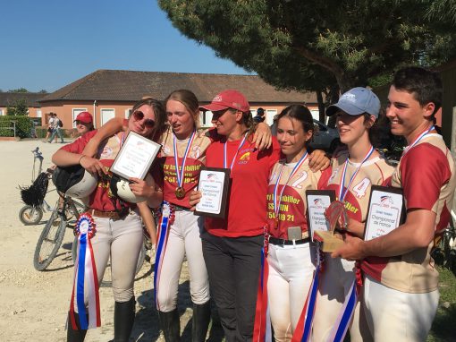 championnat horse ball lamotte beuvron 2019 champs forts medaille d'or